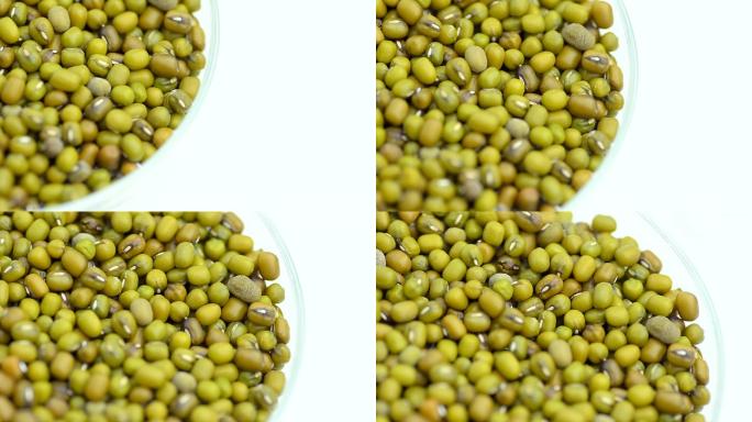 平移：在白底培养皿中的绿豆