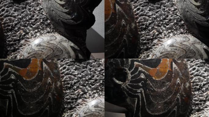 古生物史前生物鹦鹉螺化石 (4)