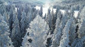 新疆阿勒泰喀纳斯雪景视频素材
