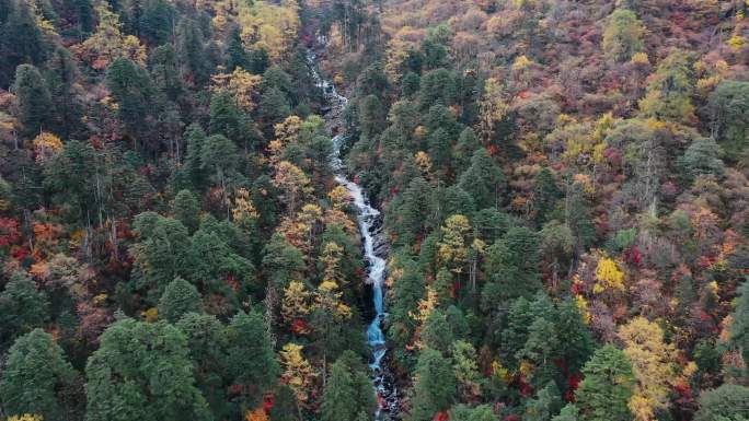高黎贡山秋色航拍