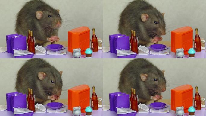 老鼠在玩偶办公室的桌子上吃午饭