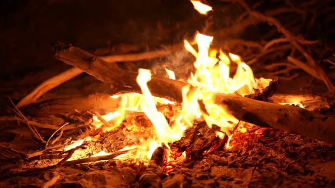 夜景氛围篝火火苗燃烧的木材火焰
