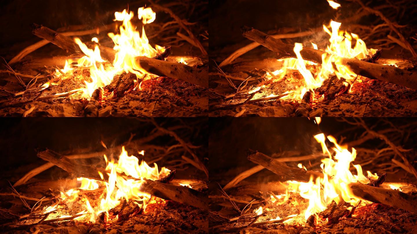 夜景氛围篝火火苗燃烧的木材火焰