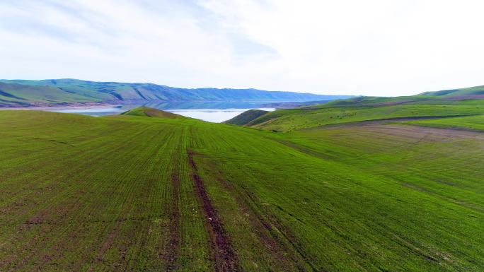 大美新疆 绿水青山 实景航拍 草原湖泊