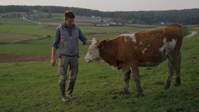 斯洛·莫牧场上一位农民和一头牛的肖像