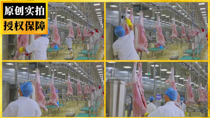 羊肉加工生产线检疫