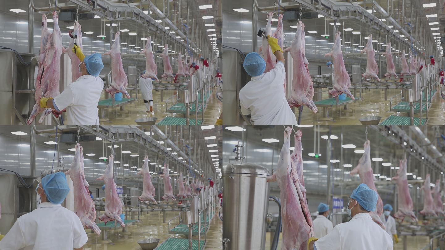 北京进行食品安全检查，对畜禽肉和水产品样品进行检测-足够资源