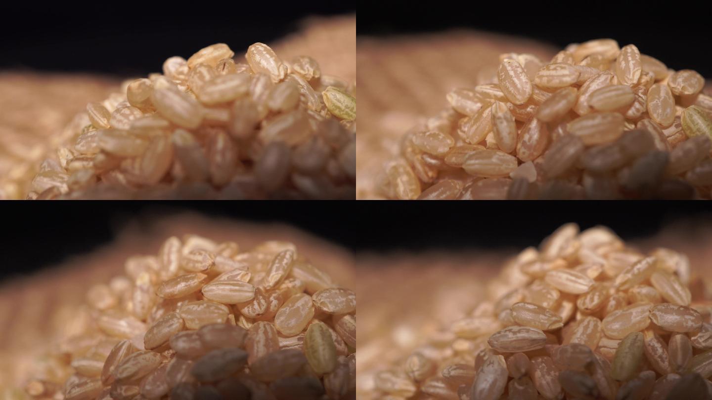 粗粮糙米健康纤维 (1)