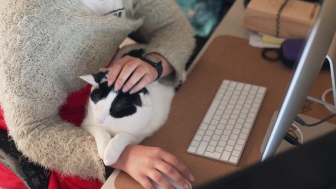 使用电脑时抚摸猫的女人