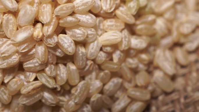 健康粗粮糙米 (6)