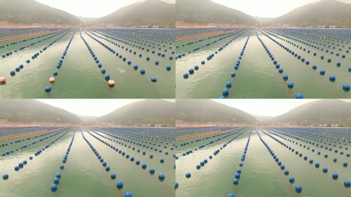 海水养殖 浮球