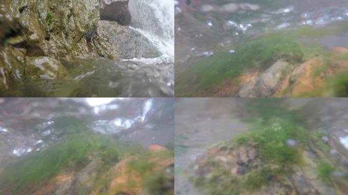 水下拍摄 溪流 流水水下水草意向A015
