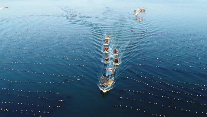 捕鱼船队航拍