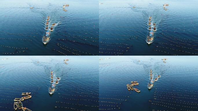 捕鱼船队航拍