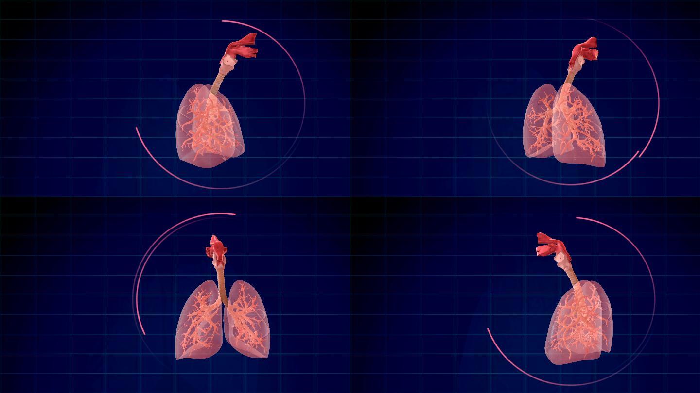 人肺呼吸系统摘要肺部全息图新冠冠状病毒