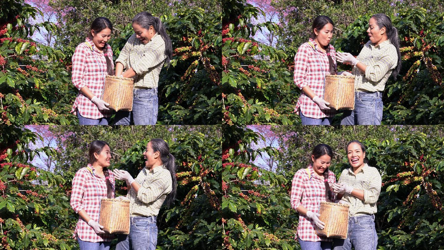 在咖啡种植园农场里，两位快乐的好女朋友，一位女性农民，肩并肩站在一起。