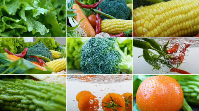 绿色有机新鲜蔬菜食材4K实拍