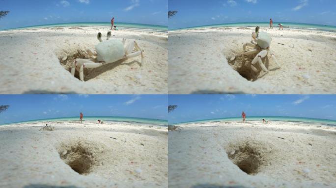 妈妈和女儿在海滩上玩耍时，螃蟹从洞里出来