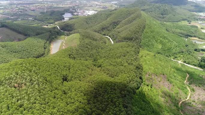 佛山高明山林航拍