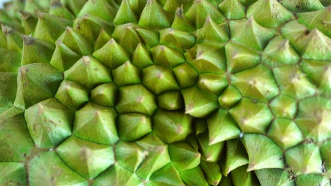 屠：水果之王，榴莲是亚洲国家流行的热带水果