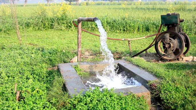 灌溉灌溉