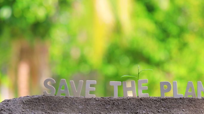 “拯救地球”一词用木制字母书写。