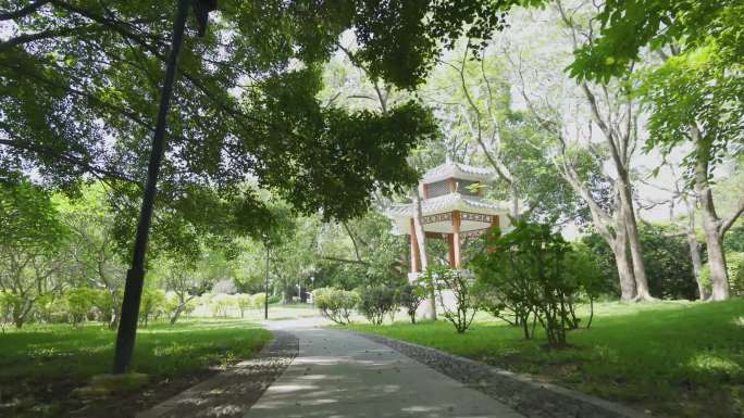 莲花山公园美景