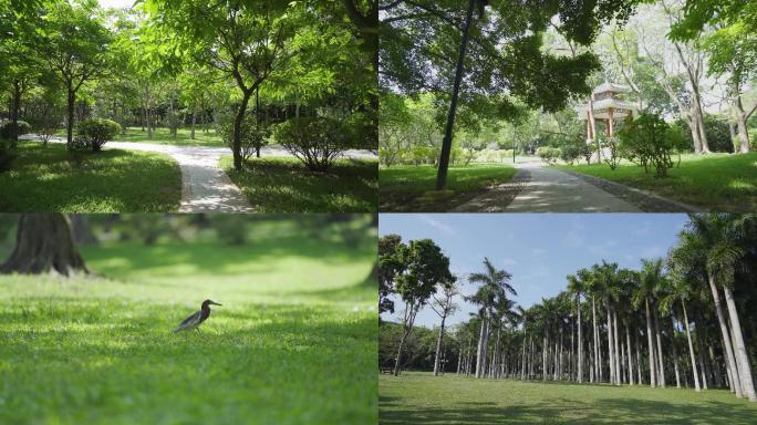 莲花山公园美景