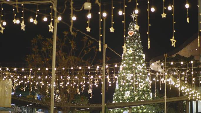 圣诞树上的照明冬天led灯带松树节日