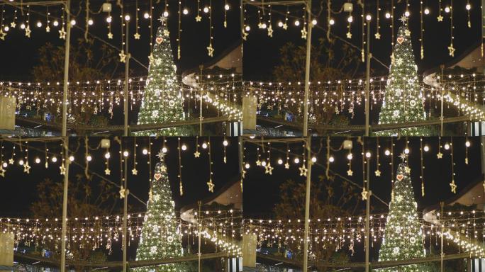 圣诞树上的照明冬天led灯带松树节日