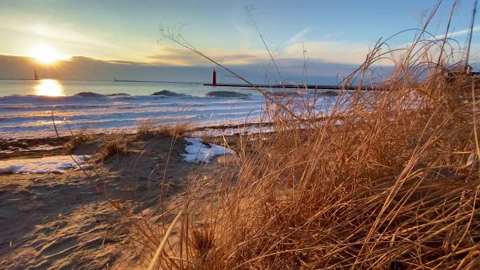 冬天的海滩上，棕色芦苇在微风中飘动，背景是灯塔