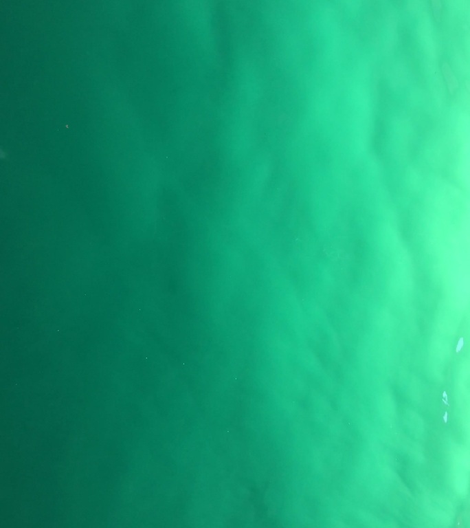 有机水下背景-海绿色