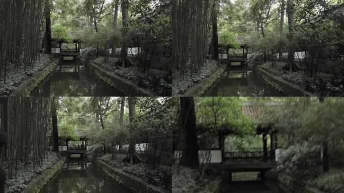 4K绿树掩映的水池