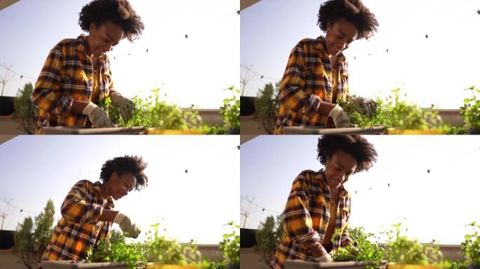 报告我的植物黑人女性整理盆栽种花花园