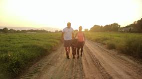 在黄金时段4K视频系列中，积极健康的夫妇在美国乡村散步大丹犬视频素材