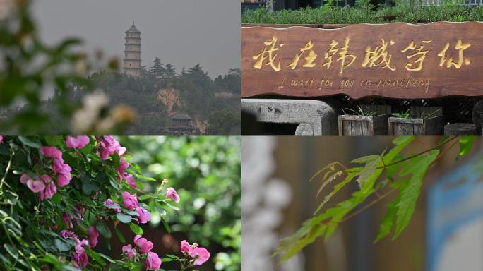 韩城金塔风景