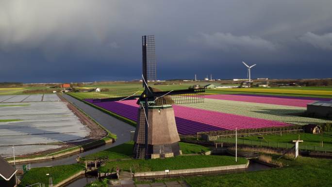 荷兰风力发电和郁金香场鸟瞰图