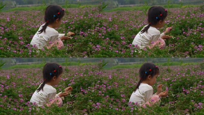 采花小姑娘童年小女孩野外