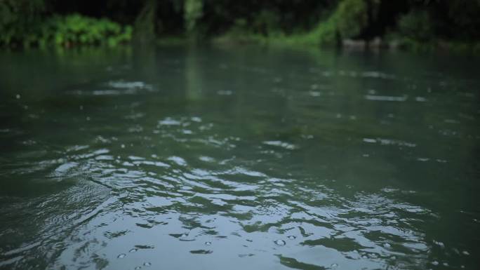 杭州竹林 溪水意境空镜