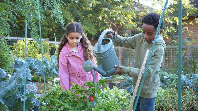 社区花园中的多种族男孩和女孩水生植物