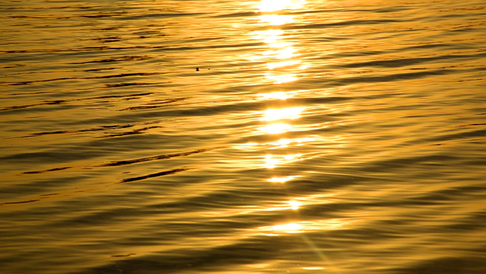 金色波光粼粼的湖水
