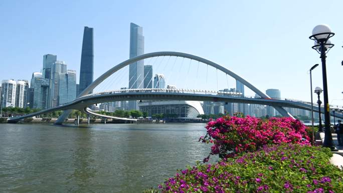广州市珠江河海心桥建筑群和三角梅4K