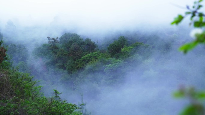 山间 云雾 雾山 青山 云雾缭绕A015