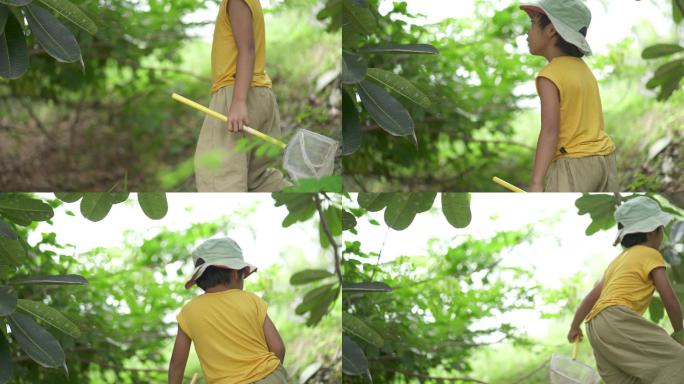 亚洲男孩探索自然界的植物和昆虫生命