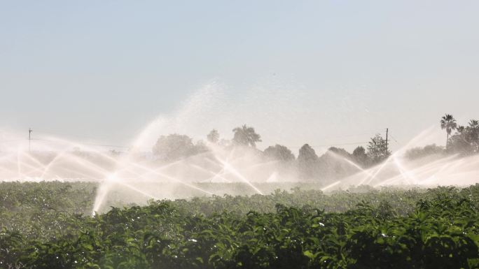 农业灌溉系统灌溉农田作物