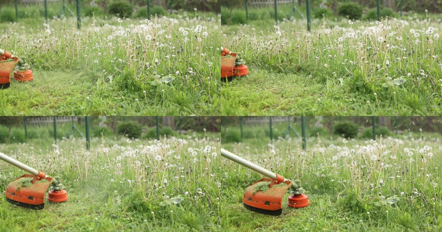 汽油草坪修剪机在阳光明媚的春天在后院割草和野花