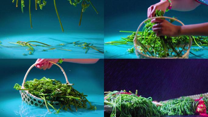新鲜蕨菜升格视频