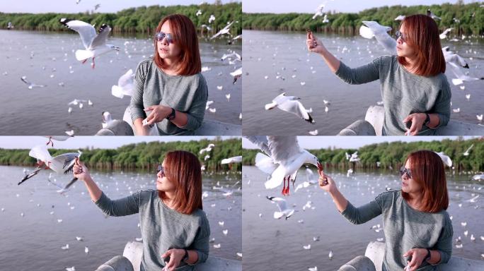 亚洲女孩用手喂海鸥