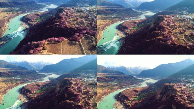 西藏林芝索松村雅鲁藏布大峡谷两岸桃花盛开