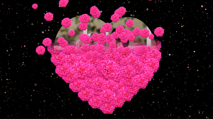 心形玫瑰花飘散爱情520表白AE模板视频
